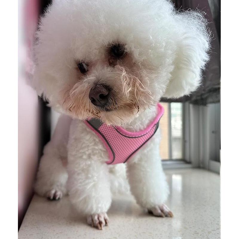 2Pcs Soft Small Dog Harness and Leash Kit Adjustable Reflective Mesh Puppy Harness Leash Easy Walk Dog Puppy Harness Vest