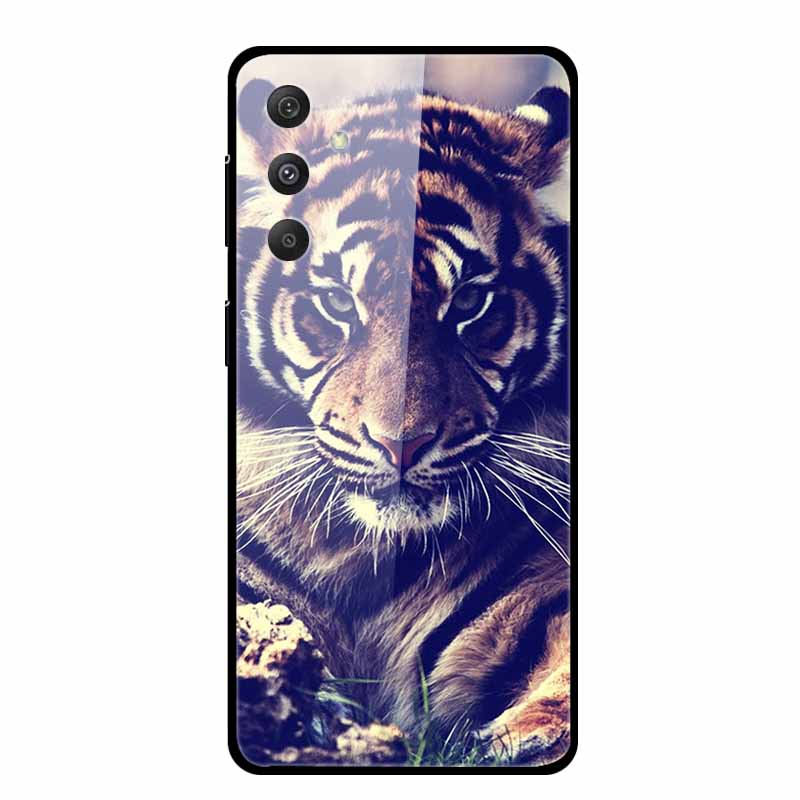 For Samsung Galaxy S25 Plus Case Hard Back Cover Tempered Glass Case For Samsung S25 Plus M55 A16 5G Phone Case Soft TPU Bumper