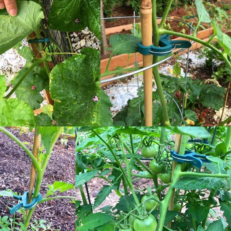 100/20pcs Plant Fixed Clips Garden Reusable Bracket For Flower Vine Vegetable Seedling Tomatoes Support Fastener Garden Supplies