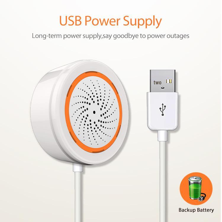Neo Graffiti Zigbee Smart Security Alarm with Sound & Light - Dual USB/Battery Power.