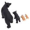 Black Bear Life Cycle Figurines Toy Set Biological Animal Growth Cycle Model Toy for Learning
