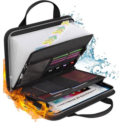Accordion File Organizer, 13 Pocket Transparent Expanding File Folder with Handle & Labels, Water Resistant Folder Organizer for Letter A4 Files
