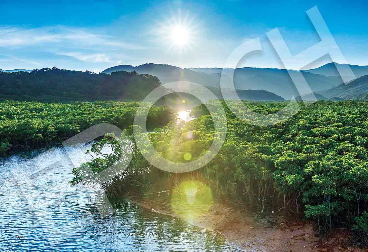 EPOCH 300-Piece Japan Landscape Jigsaw Puzzle Iriomote Island World Heritage Site 26×38cm 26-361 with Adhesive Spatula and Ticket