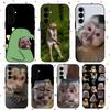 Affe Lustig Heiß Kapuzinera Handyhülle Für Samsung Galaxy S25 S24 S23 S22 S21 S20 Plus Ultra Note20 Weich Schwarz