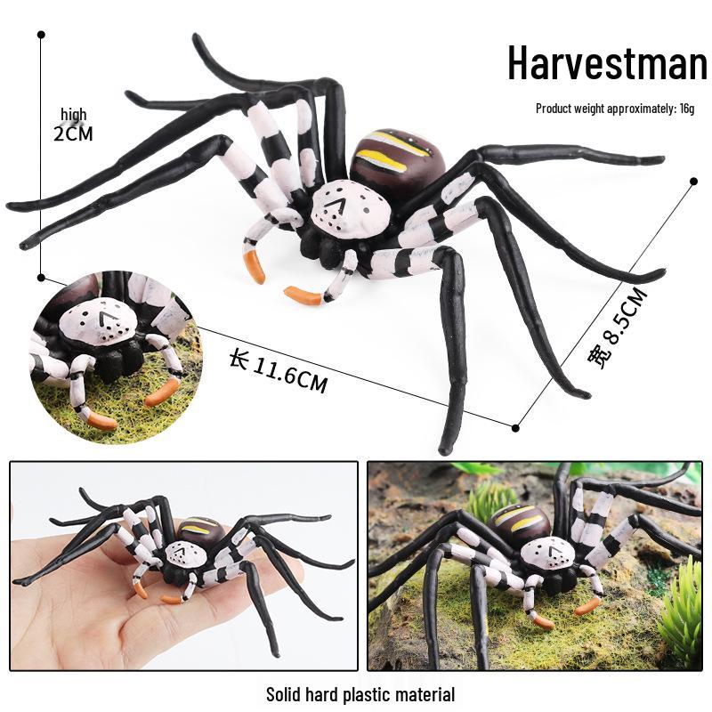 High-Leg Spider Family Insect Toys: Educational & Prank Gift for Kids, Halloween Decor