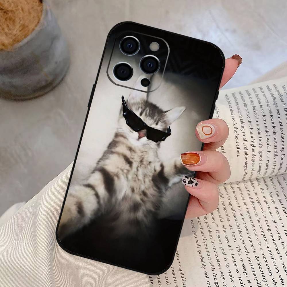 Funny Cute Cat Phone Case For iPhone 17, 16,15,14,13,12,11 Plus,Pro Max, Others Soft Black Cover