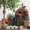 10piece Male Doll Head With Bag DIY To Paint For Creepy Baby Doll Halloween Male Doll Head