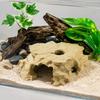 Plastic Shrimp and Fish Cover Cave with Raised Cover Space for Water Pet Use, Shelter Value and Display Use Daily