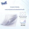 Tempo Mini Paper Handkerchiefs, Applewood Scent