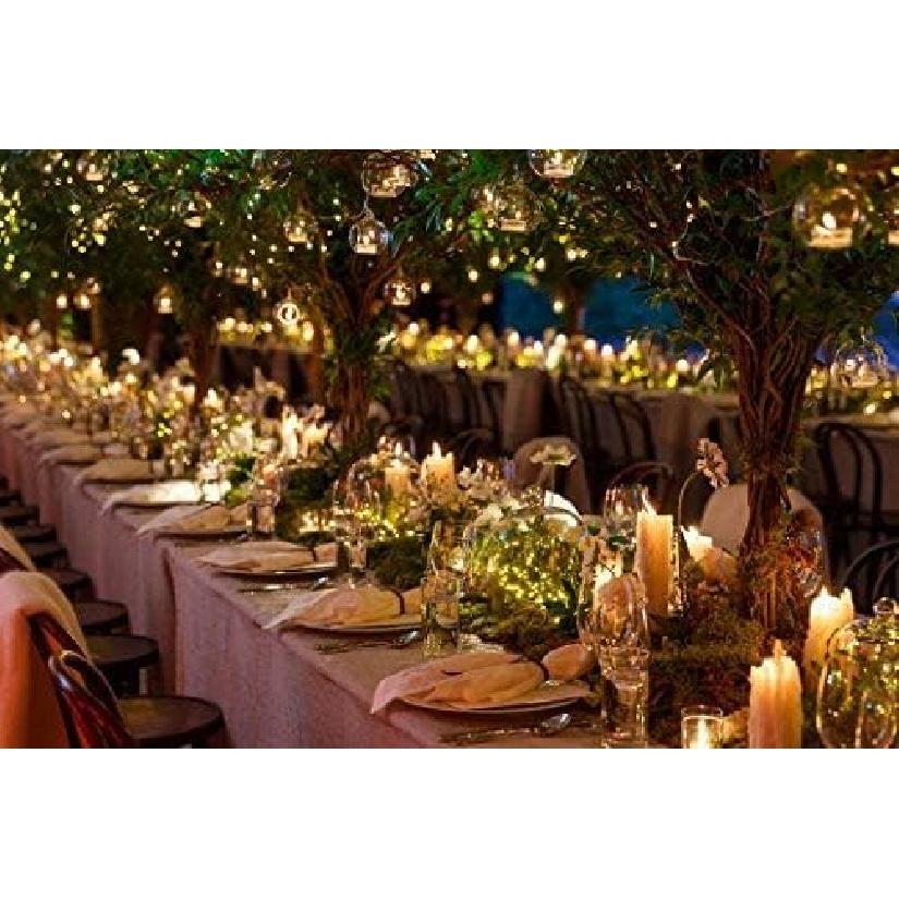 Dailyart 6feet 120 LED Starry Lights, Battery Operated Fairy String Lights