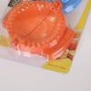 Food-Grade Dumpling Mold Set: Large, Medium, Small - 3-Piece Kitchen Tool for Dumpling Making
