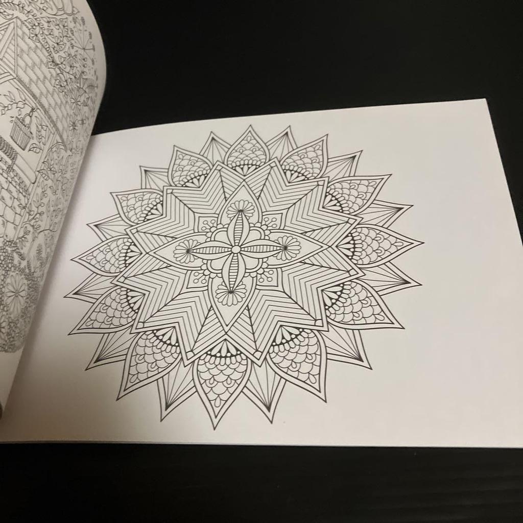 [USED] Western books, coloring books