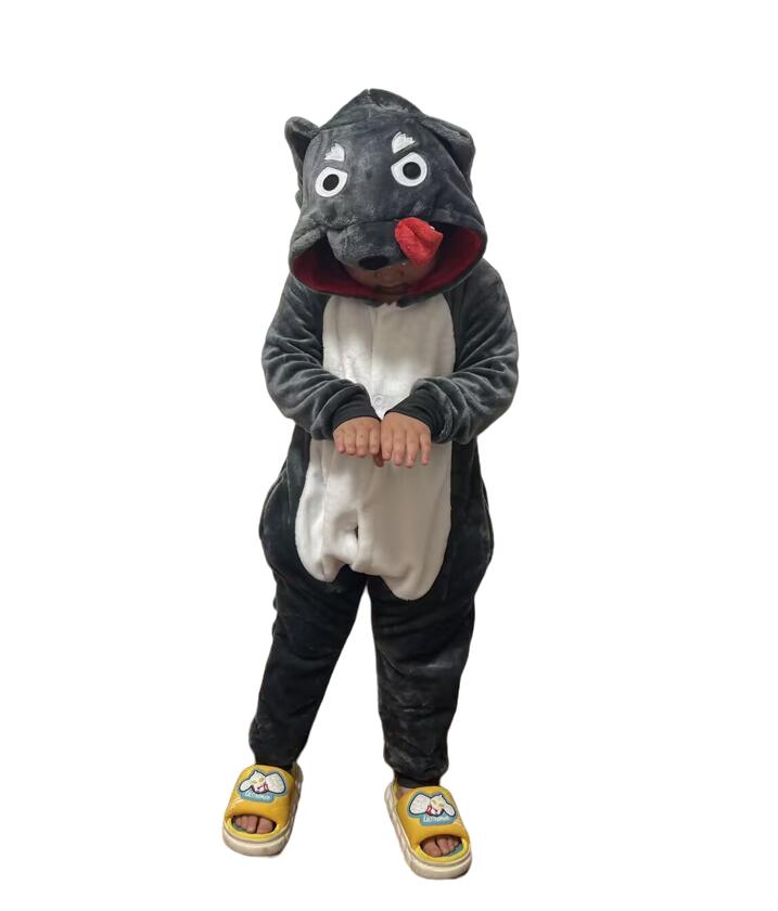 Cartoon Kigurumi Für Kinder Tier Onesies Kinder Pyjamas Halloween Cosplay Kostüme
