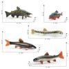 Realistic Plastic Fish Model Set Featuring Colorful Red Spot Salmon Piranha And Yarrow Fish