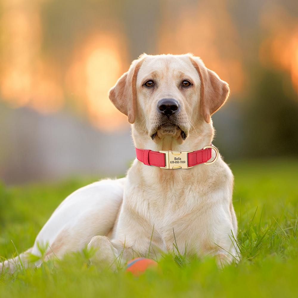 Custom Dog Collar PU Leather Dogs Collars Personalized Pet Necklace Adjustable for Small Medium Large Dogs Bulldog Pug Pink