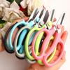 Stainless Steel Flowers Fruit Picking Branch PP Anti-Slip Grip Handle Pruning Shears Bonsai Scissors for Garden Blue Pink Color