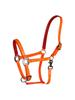 TPU Adjustable Durable Horse Halter and Leading Equipment