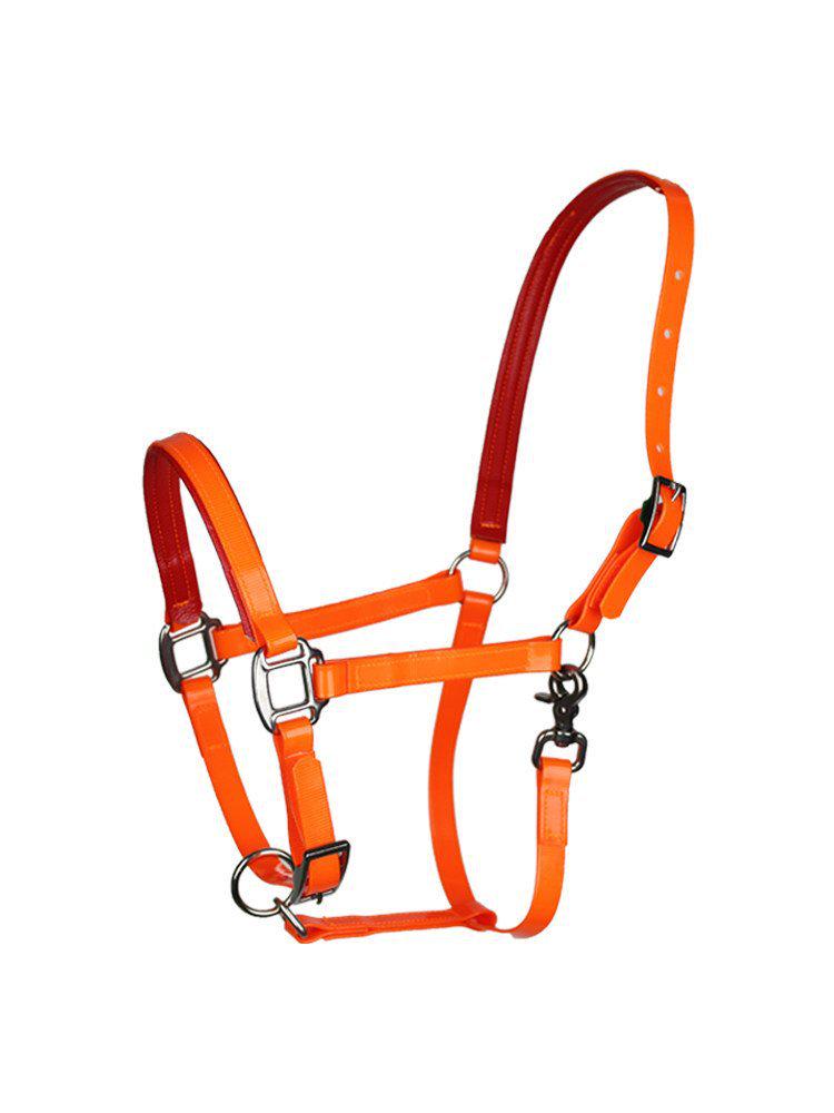 TPU Adjustable Durable Horse Halter and Leading Equipment