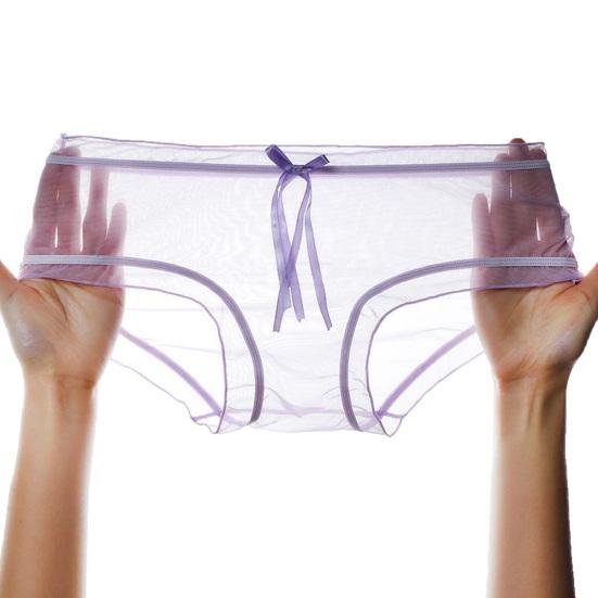 Yousheng Sexy Underwear for Women Ultra Thin See Through Sheer Mesh Panties Seamless Mid Waisted Hipster Briefs