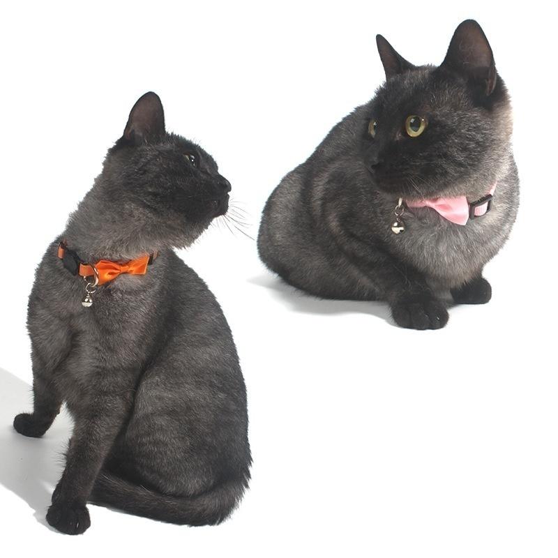 cat ribbon collar