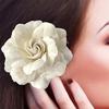 Retro Czarny Aksamitny Broszka Kamelia Broszka Żałobna Damska Koszula Krawat Corsage Ubrania Biżuteria Akcesoria Odzieżowe