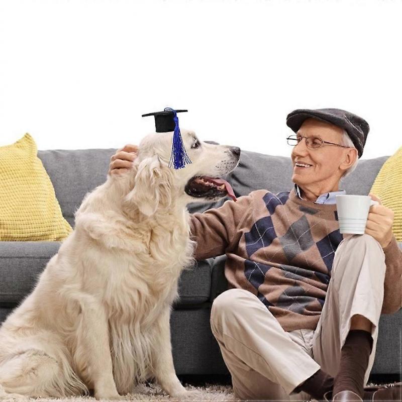 Adorable Graduation Party Dog Dr Hat Felt Fabric 2Pcs Costume