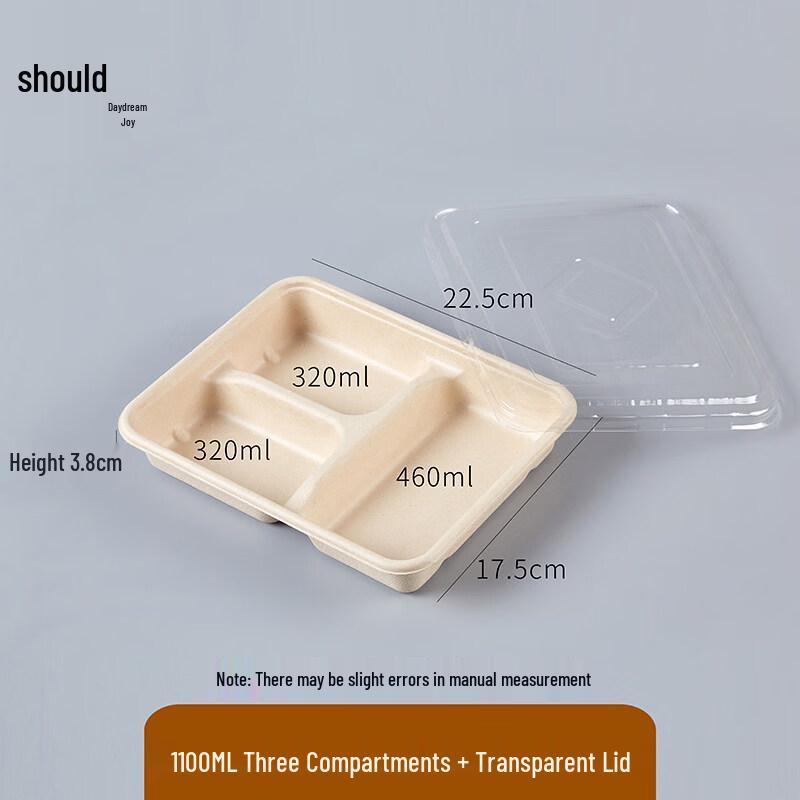 ZISIZ Disposable Pulp Lunch Box