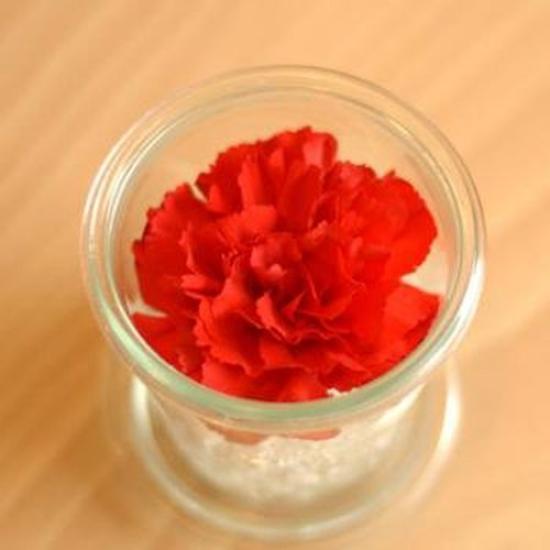 Weck Formformad Glasbehållare 80ml WE-080