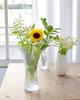 Toyo Sasaki Glass Flower Vase, Large, Frugole, Approx. 14.2 x 25.8 x 14.2 cm, Made in Japan, P-26356-JAN, Clear