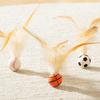 Katze Hüpfball Spielzeug Basketball Fußball Baseball Katze Sprungspielzeug Gummiball Kauspielzeug mit Federn für Interaktives Spielen Selbstunterhaltung Langeweile