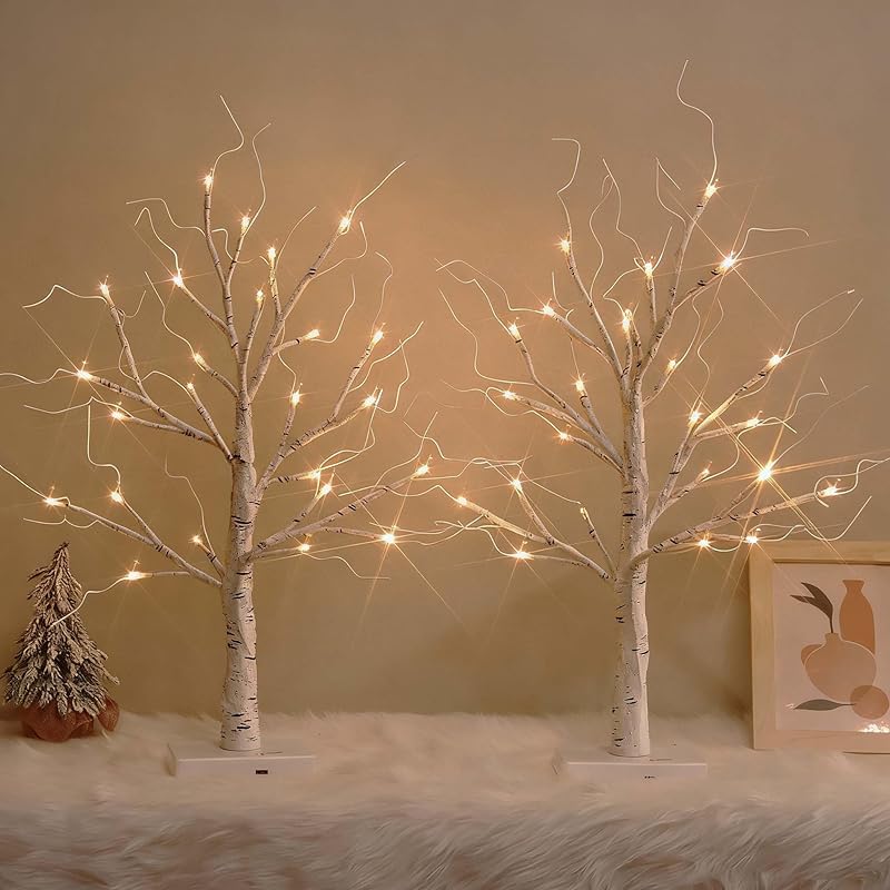 White Birch Tree with LED Lights, Lighted Birch Tree for Tabletop, USB/Battery Operated 24 LED Warm White Tree, 2FT Mini Christmas Tree Decor for