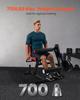 VEVOR Leg Extension and Curl Machine, 700 Lbs Capacity Lower Body Special Leg Machines, Adjustable Leg Exercise Bench, Leg Rotary Extension for Thigh