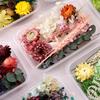 Useful Dried Flower Soft Pretty Decorative