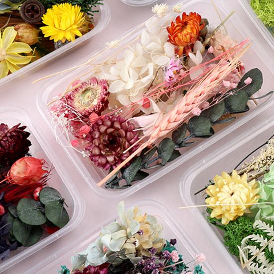 Useful Dried Flower Soft Pretty Decorative