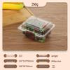 Portable Disposable Transparent Plastic Rectangular Fruit Packaging Box with Lid