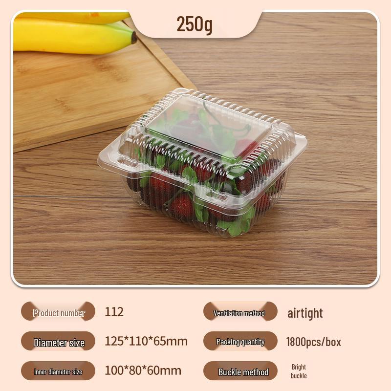 Portable Disposable Transparent Plastic Rectangular Fruit Packaging Box with Lid