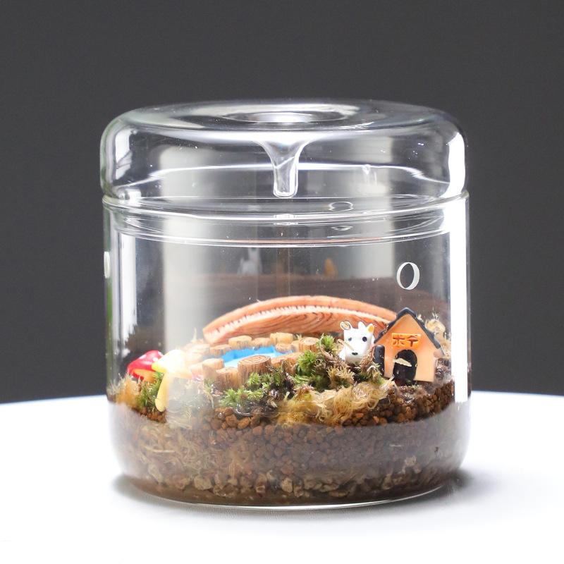Glass Bottles Creativity Dew Collection Glass Vase Micro Landscape Succulent Moss Landscape Glass Terrarium Home Decor Bonsai