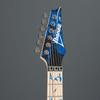 IBANEZ Chitarra elettrica signature di Steve Vai, modello JEM77P-BFP, con motivo floreale blu