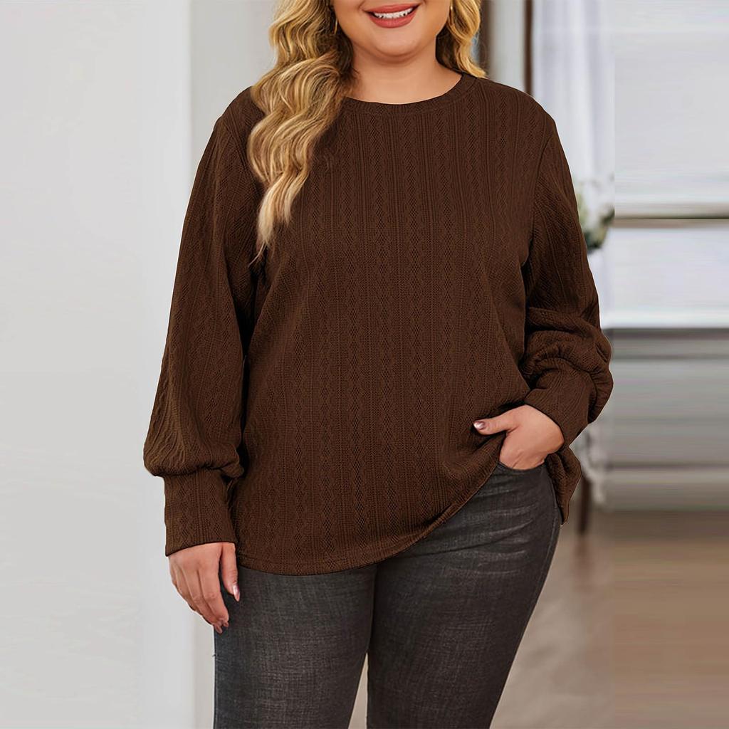 Women's Fashion Casual Solid Color Oversized  Long Sleeve Loose Fit Top