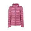 Autumn and Winter New Light Down Jacket Short Women's Stand-up Collar Light Jacket