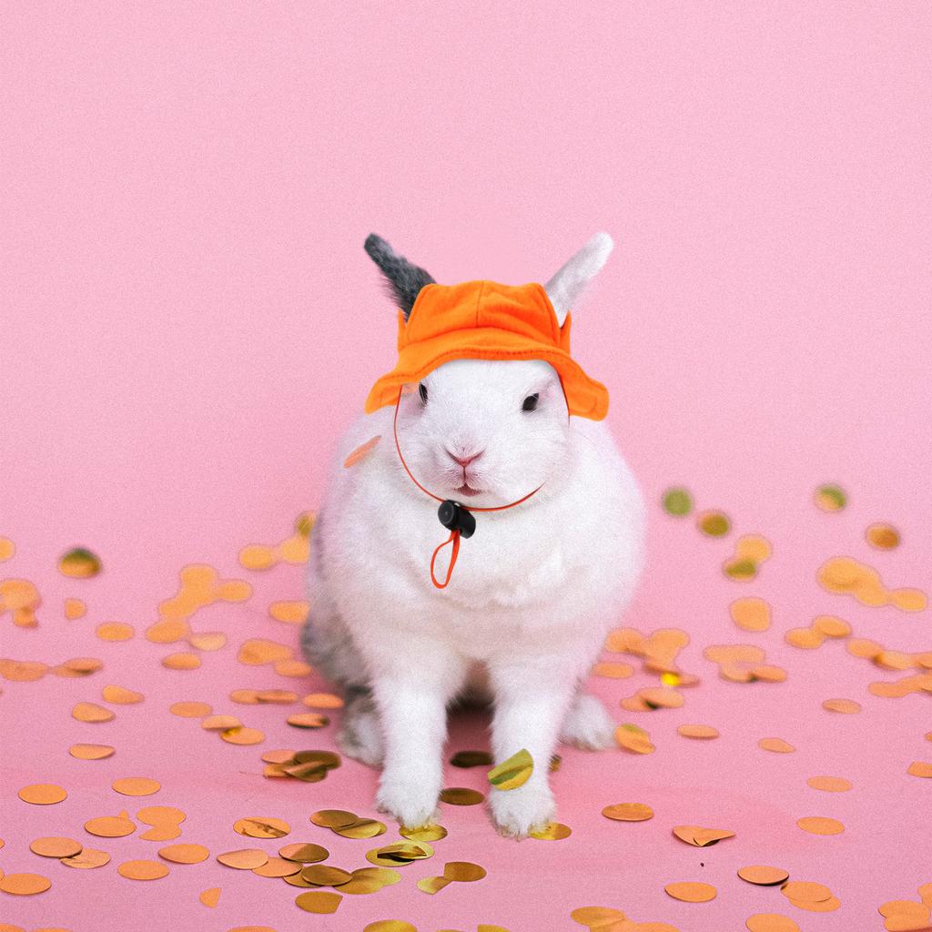 1pcs Pet Yellow Hat Soft Felt Bunny Hat For Guinea Pig Hamster Rabbit Party Decoration Head Cover Pet Costume