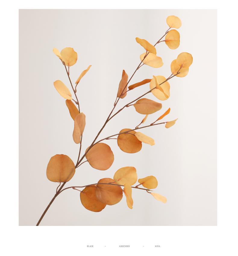 Autumn Colors Eucalyptus Dried Flower Ornaments for Living Room or Dining Table