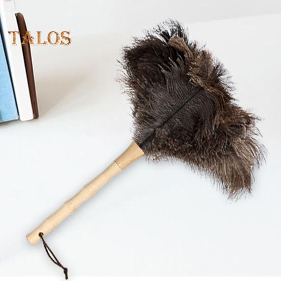 Ostrich Extendable Feather Long Duster Handle Rugged Design Telescopic Pole Duster Reusable Fluffy Duster