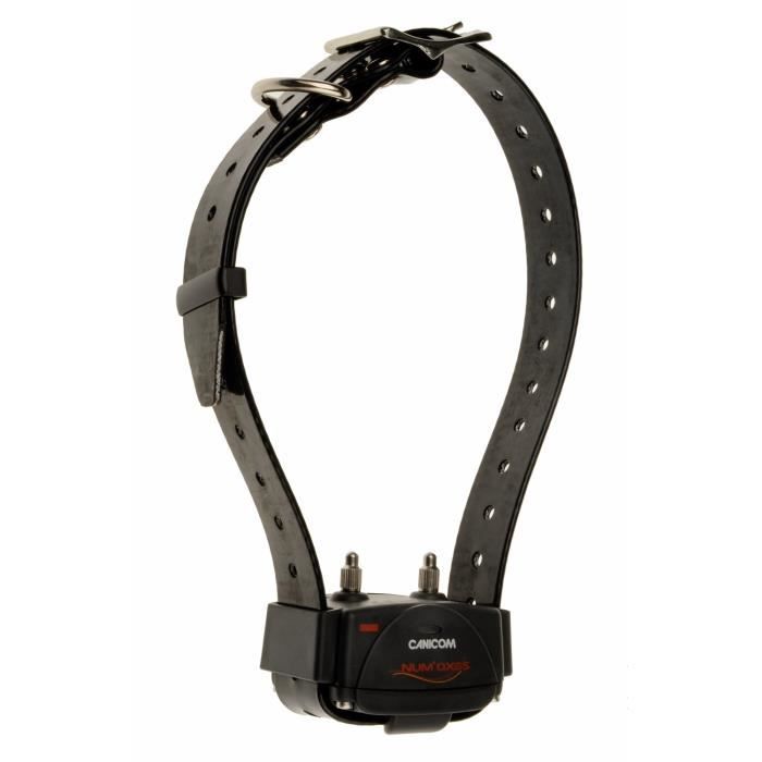Collier seul de dressage canicom avec sangle noire