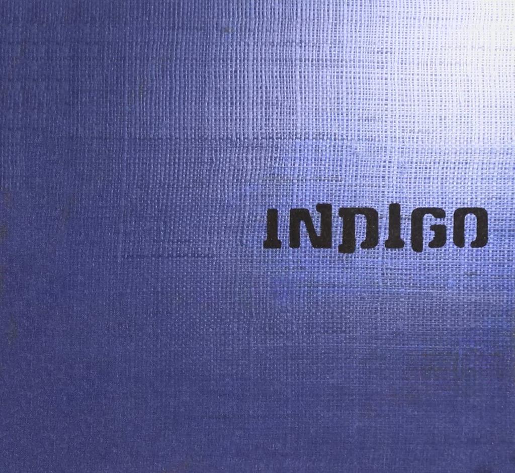 CD CHIKUZEN SATO; PLUS ONE - INDIGO  UPCH1703 Japan ObiJapanese Pop/Rock Used