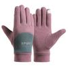Winter Windproof Waterproof Plus Velvet Warm Touch Screen Autumn and Winter Outdoor Riding Single Layer Composite Gloves