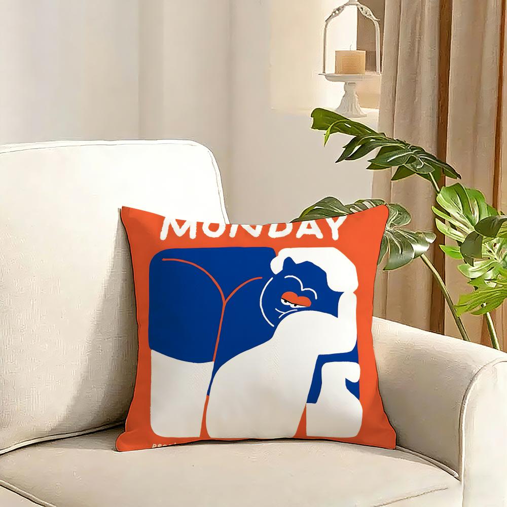 In a Frame Creative and Interesting Cushion Cover Reversible Plush Pillow Cover Soft Fluffy Home Decor for Sofa Bedroom