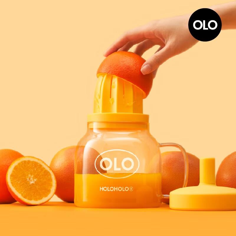 HOLOHOLO Tea Infuser Glass Bottle with Handle