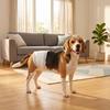Disposable Dog Diapers Male Absorbent Dog Nappies L 62-80 cm