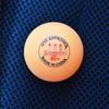WEZHOASB D40+ Seamed 3-Star Table Tennis Balls